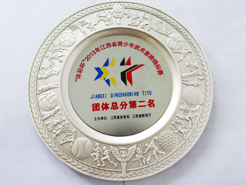 “体彩杯”2013年江西省青少年武术套路锦标赛—团体总分第二名